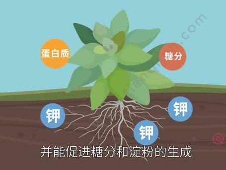 QQ截图20240419113440.jpg