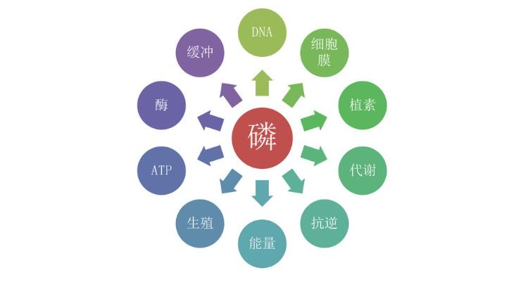 QQ截图20240419113546.jpg