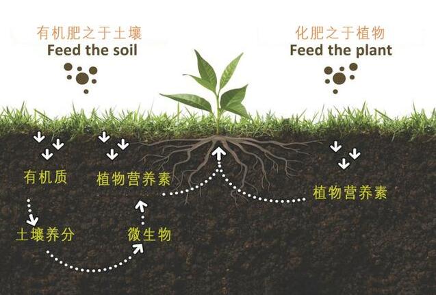 QQ截图20240423145759.jpg
