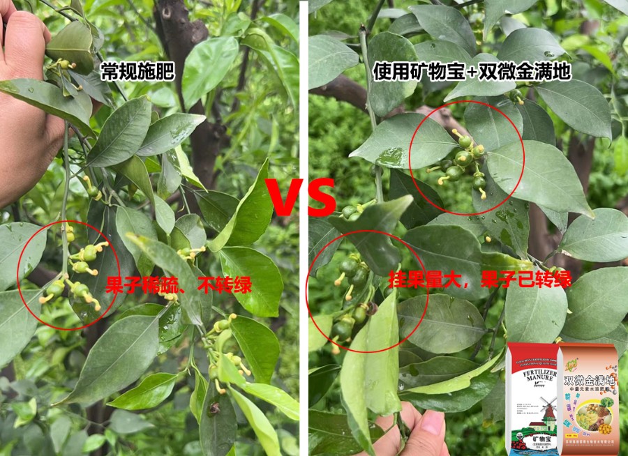 未标题-1.jpg