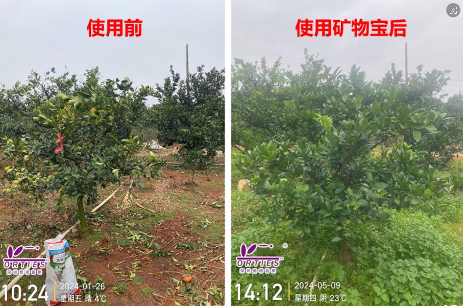 QQ截图20240510095643.jpg