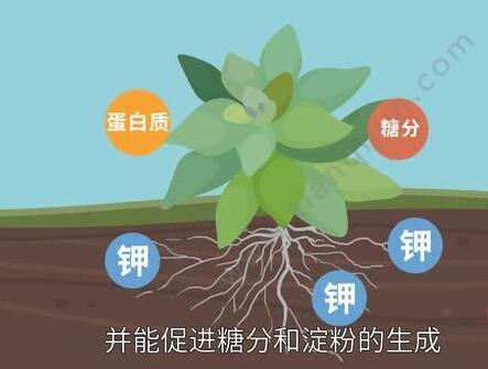 QQ截图20240527153646.jpg