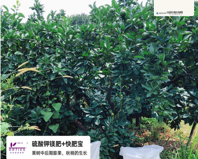 QQ截图20240611175839.jpg