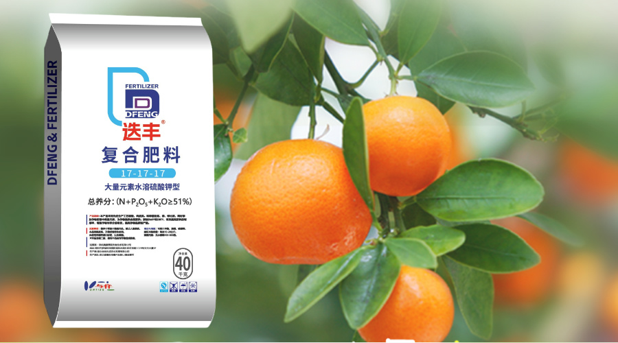 简单手绘风处暑主题横版海报__2024-07-31+15_27_42.jpg