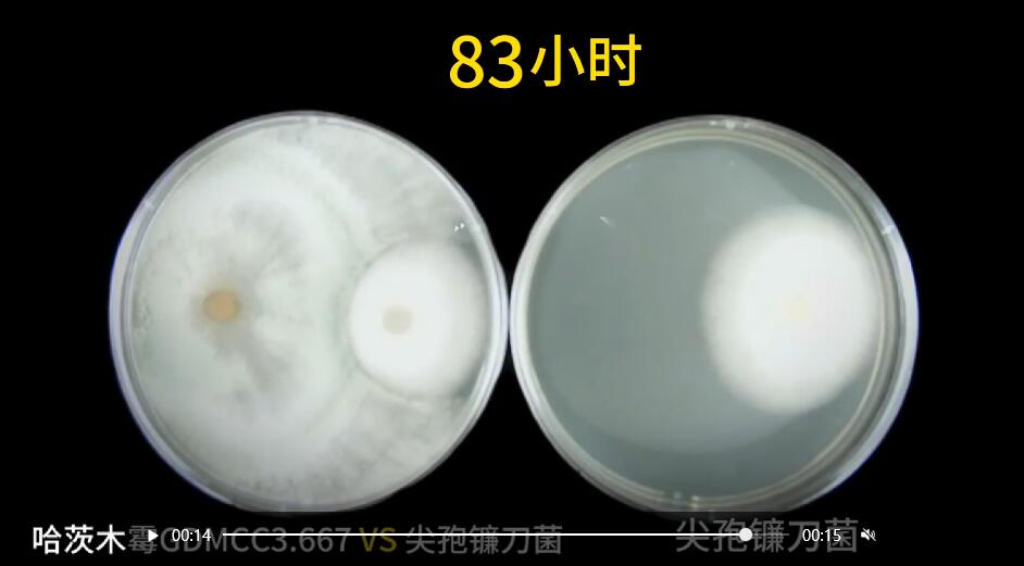 QQ截图20240816105633.jpg