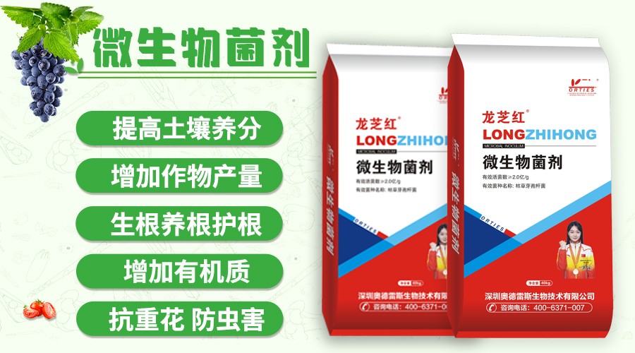 公众号横幅海报.jpg
