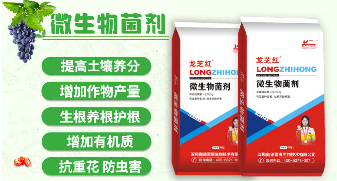 微信图片_20240923164001.png