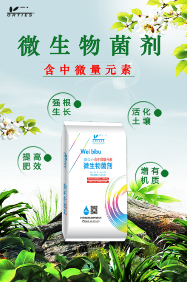 微信图片_20241009141228.png